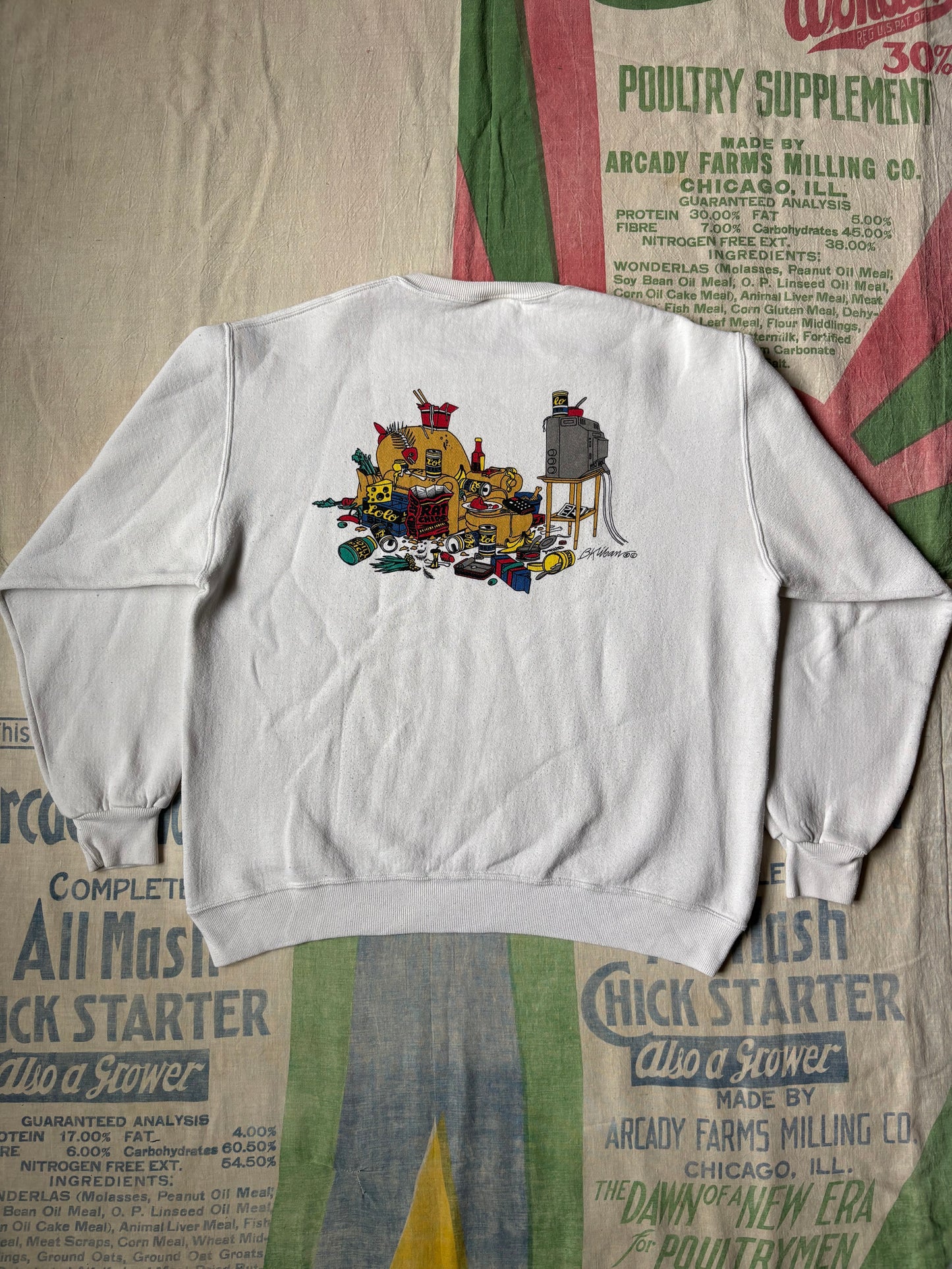 Vintage 80’s BKliban Cat Armchair Athlete Sweatshirt size M/L Boxy Crazy Shirts