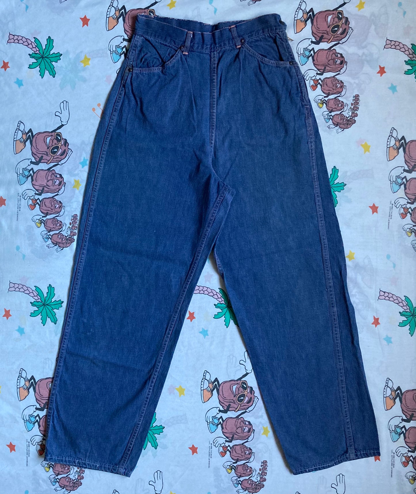 Vintage 50’s Penny’s Ranchcraft Side Zip Jeans 26x28 Women’s Workwear