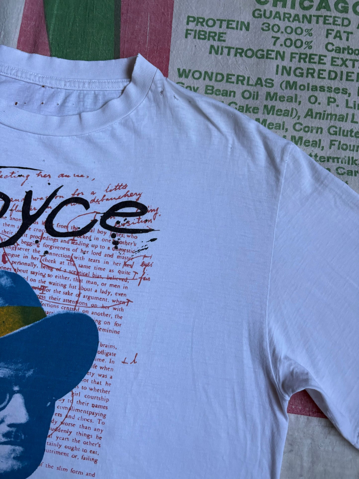 Vintage 80’s James Joyce T shirt size Large Punk Seditionaries
